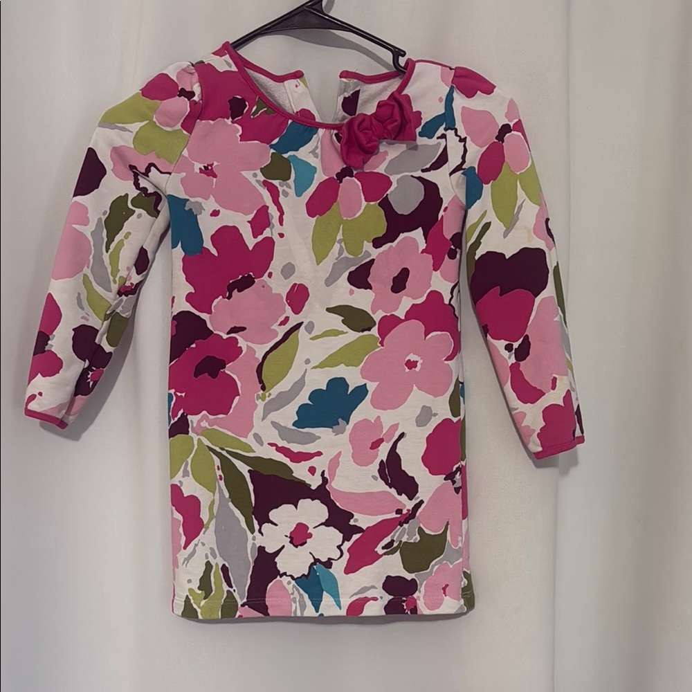 Gymboree Pink and Blue Floral Dress